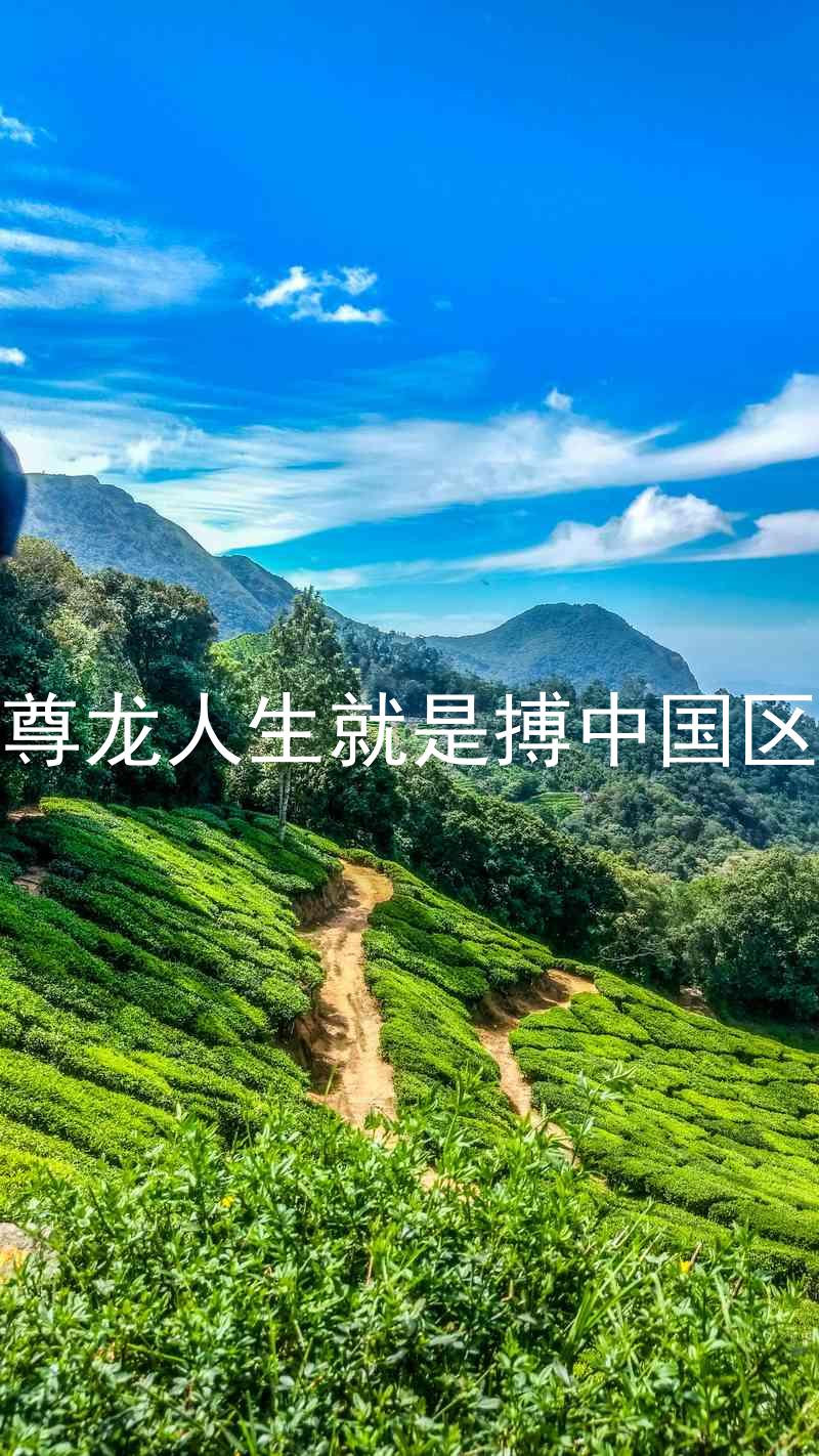 尊龙人生就是搏中国区